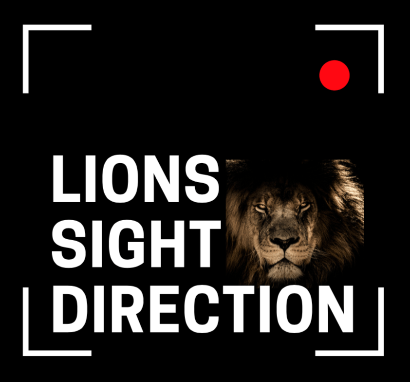 lionsightdirection